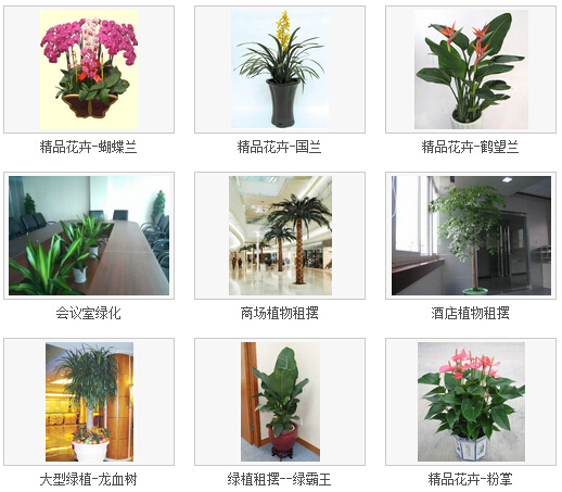 1445414228559456.jpg QQ截图20151021155547.jpg