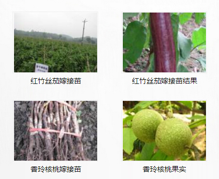 1445911091592246.jpg QQ截图20151027095713.jpg