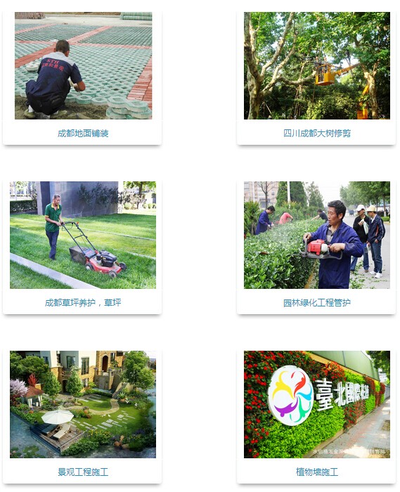 1445917029121521.jpg QQ截图20151027113643.jpg