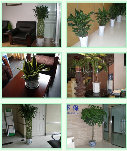 1445933652134612.jpg QQ截图20151027161315.jpg