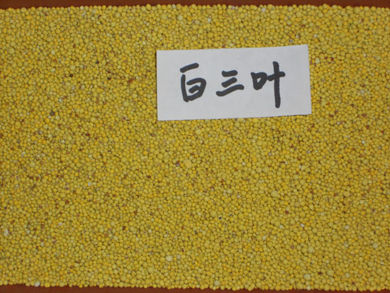 1450747767103753.jpg