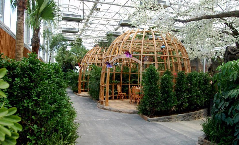 1452756831279276.jpg