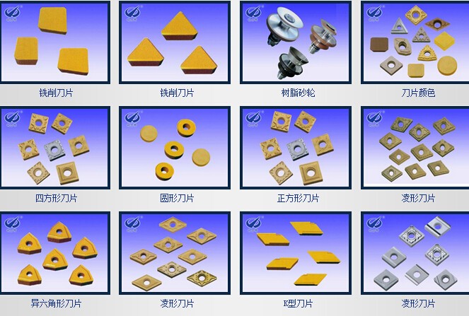 1453186954598270.jpg