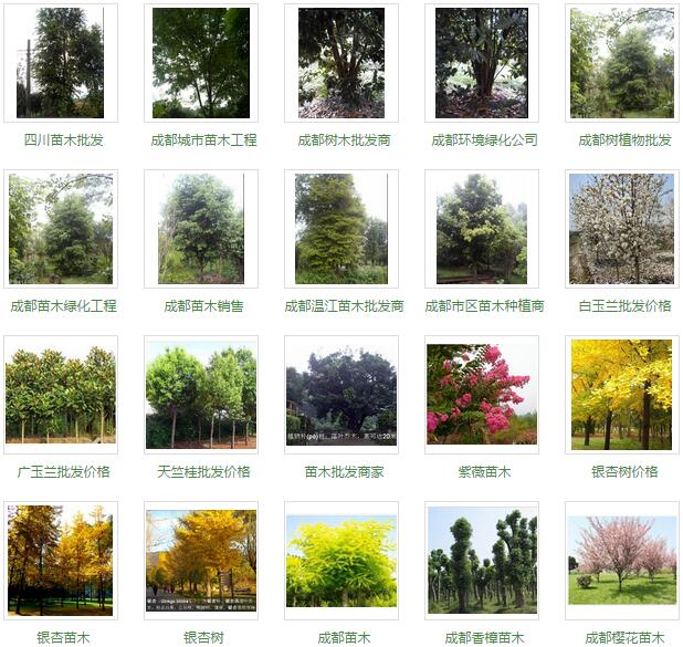 1453254706524471.jpg QQ截图20160120095123.jpg