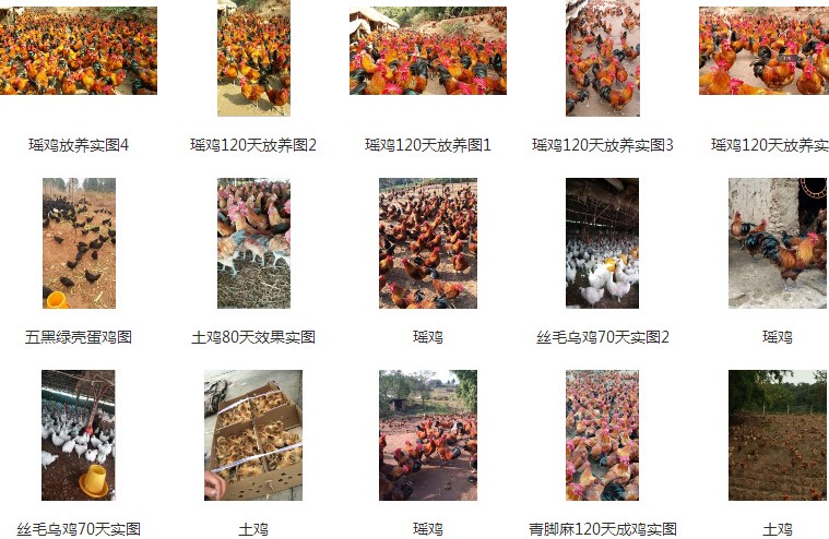 1457579493675297.jpg QQ截图20160310110851.jpg