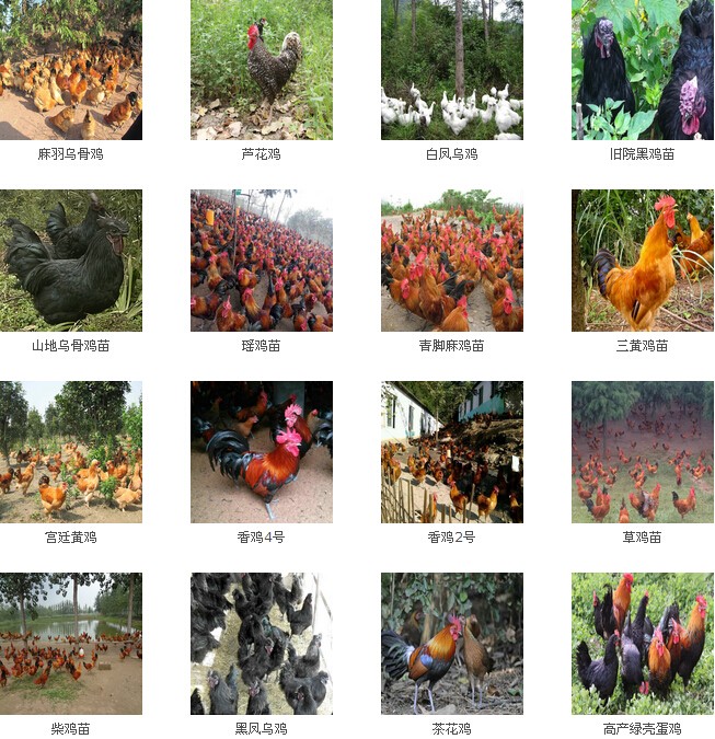 1457589808552872.jpg QQ截图20160310140202.jpg