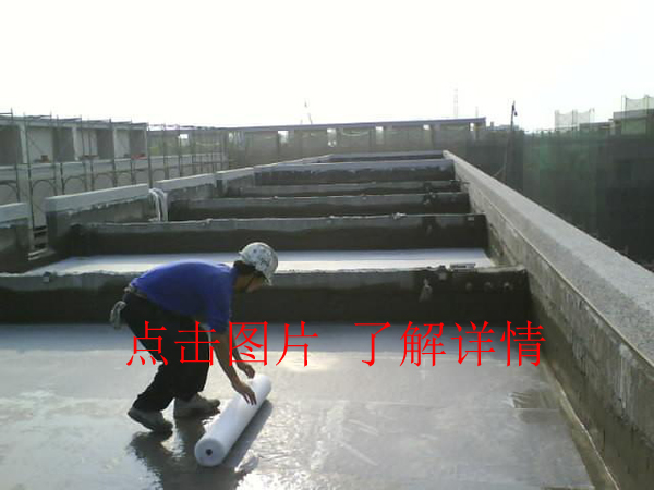 1461037640507258.jpg