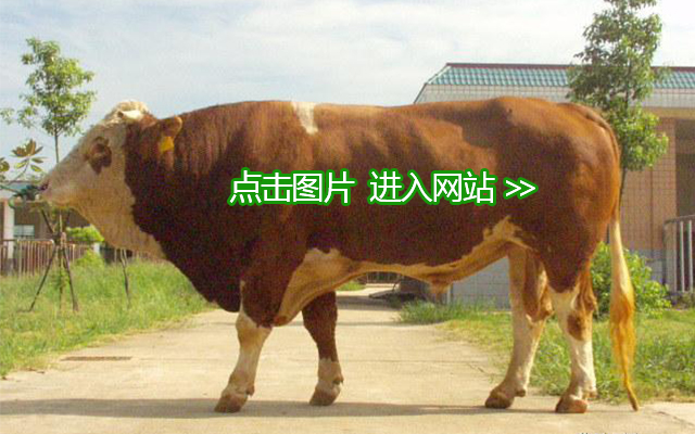 1466590604605155.jpg