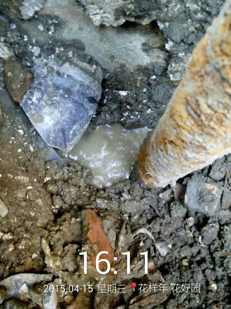 1469763902481267.jpg