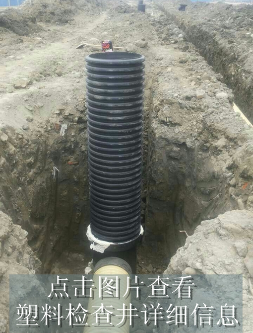 1480318796382767.jpg
