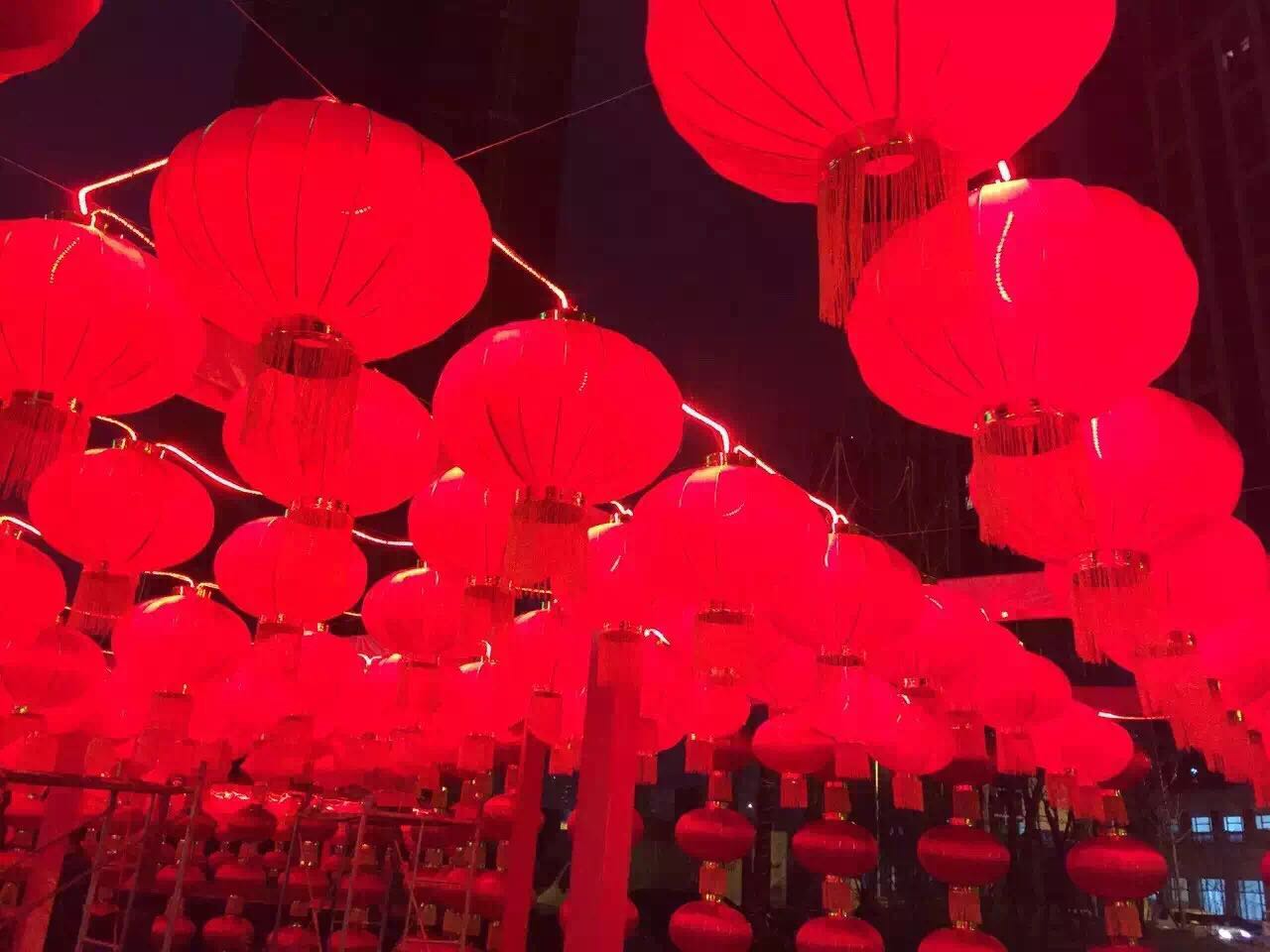 1480988901531012.jpg