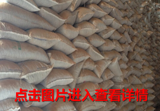 1484880299573484.jpg