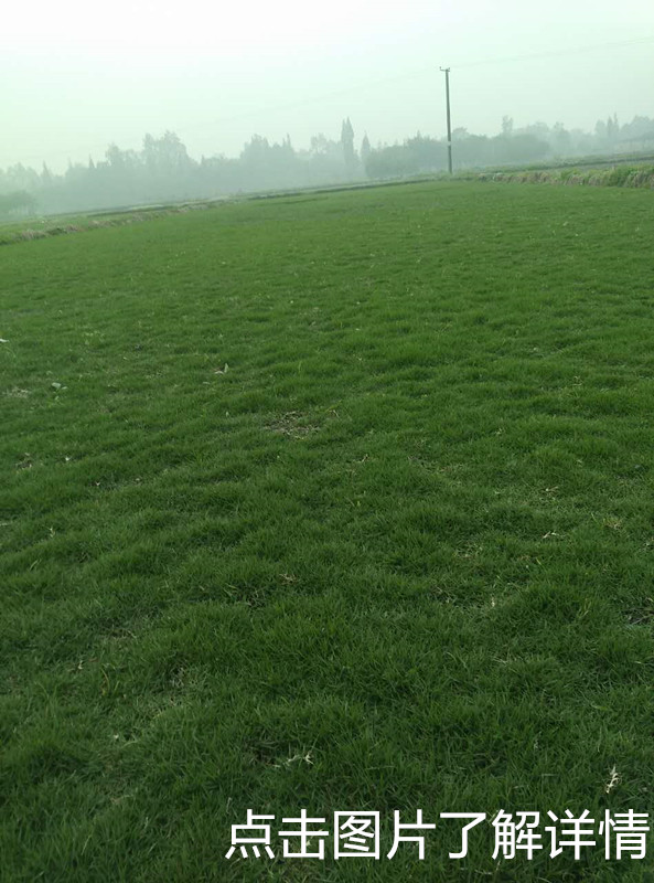 1489460687277641.jpg