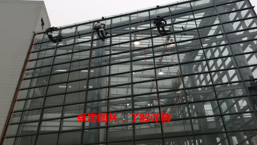 1491542500119430.jpg 内容详情三.jpg