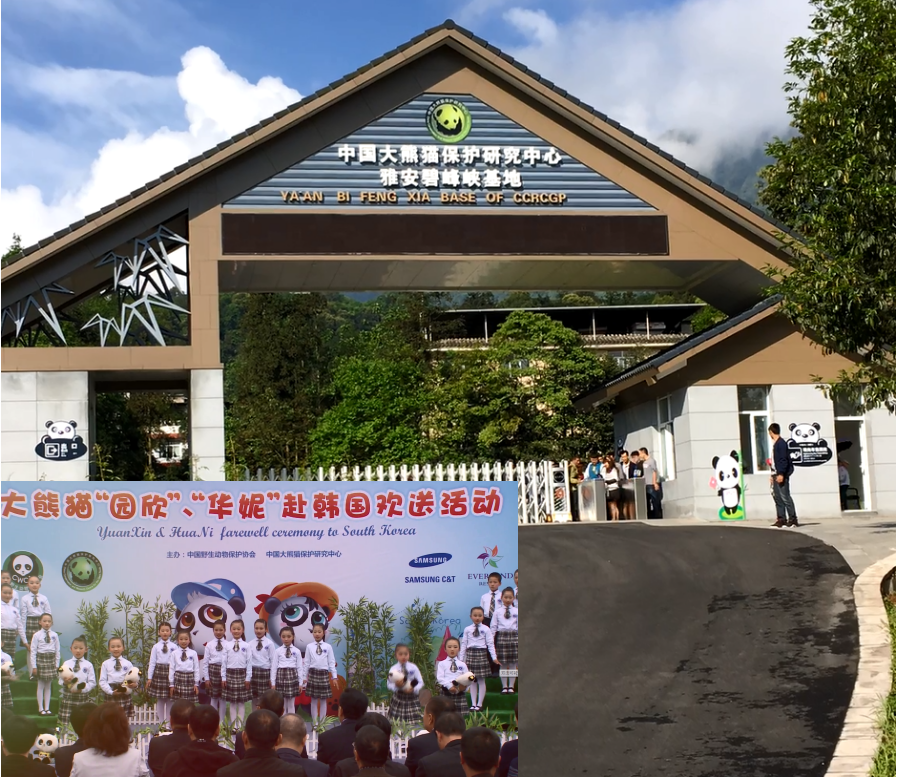 1497953450567804.png 图片3.png