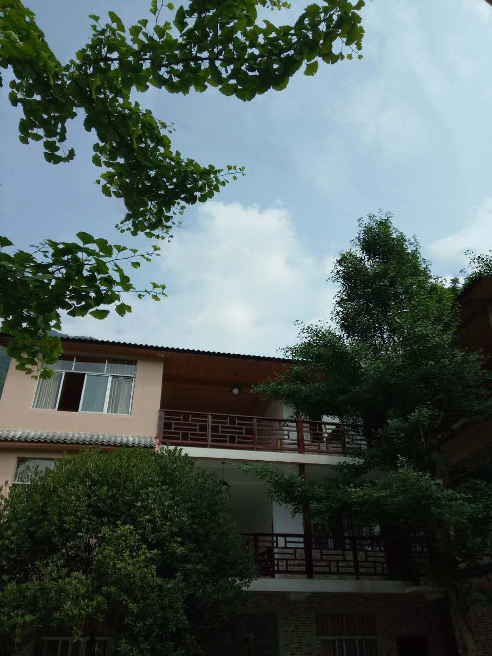 1498116366105118.jpg 2.jpg