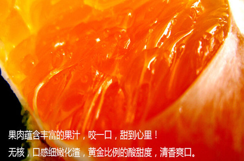 1499652772131453.jpg 2.jpg