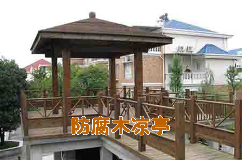 1505296380416590.jpg