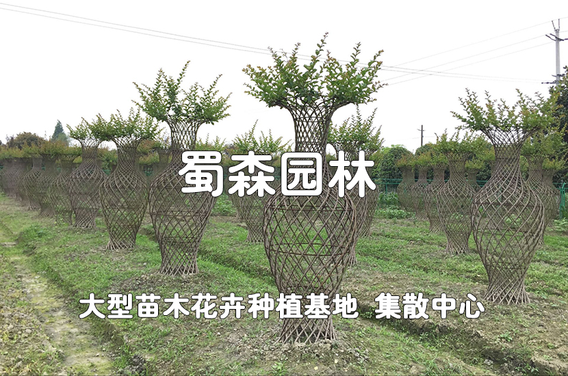 1505297284452177.jpg QQ图片20170913180604.jpg