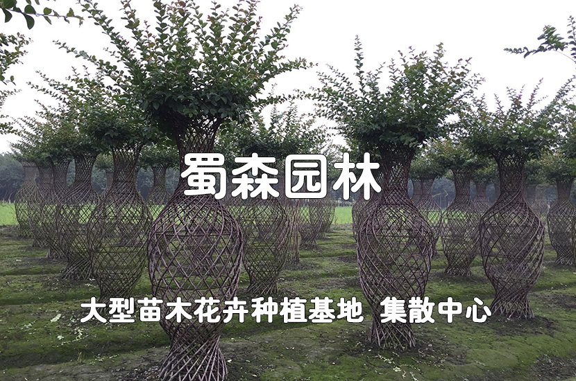 1505297296382724.jpg QQ图片20170913180611.jpg
