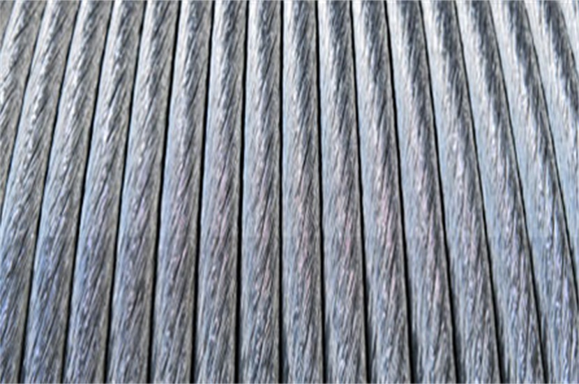 1513337045870877.jpg