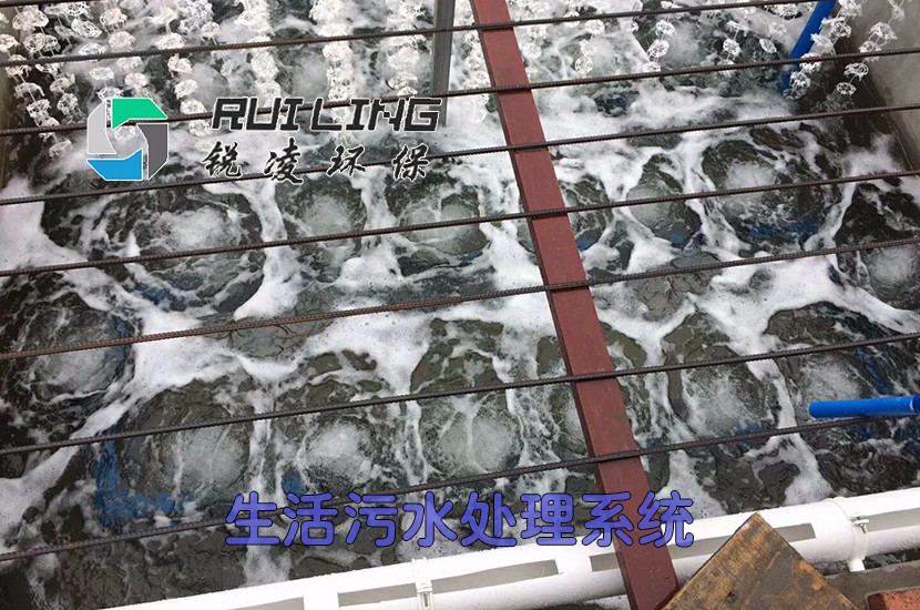 1517197950281556.jpg