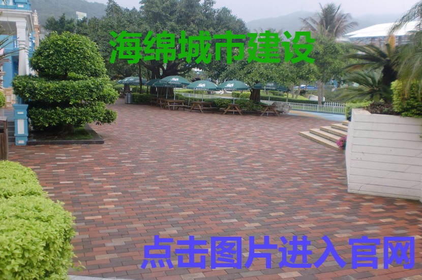1519350760787739.jpg