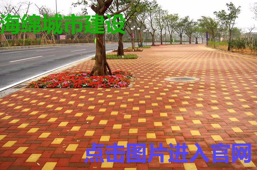 1519350761145791.jpg