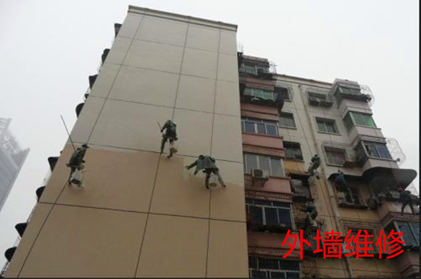 外墙维修.jpg