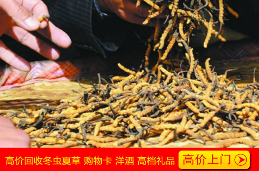 1522657261100840.jpg 滚动8.jpg