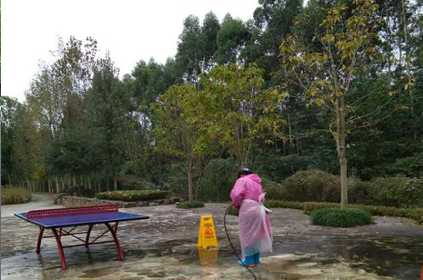 1527479215124447.jpg shen.jpg