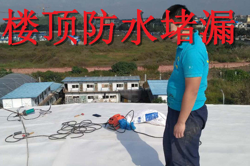 1527559420490002.jpg 楼顶防水堵漏.jpg