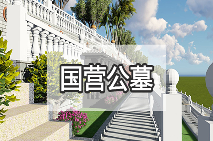 1-1P51G006444L_副本.jpg