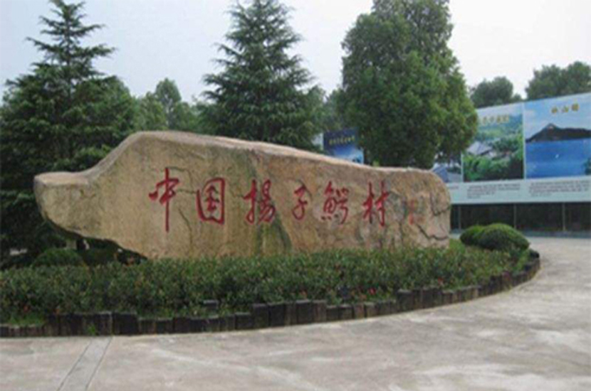 1529566841427348.jpg 详情5.jpg