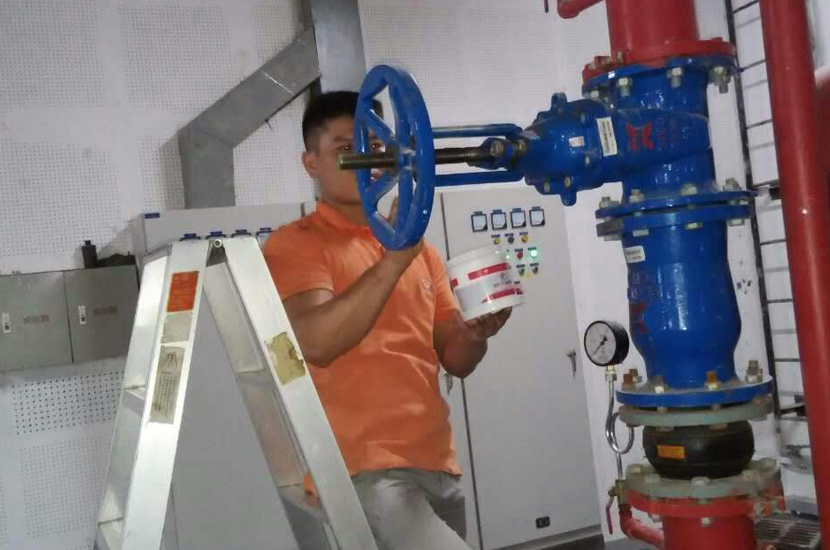 cp-08.jpg