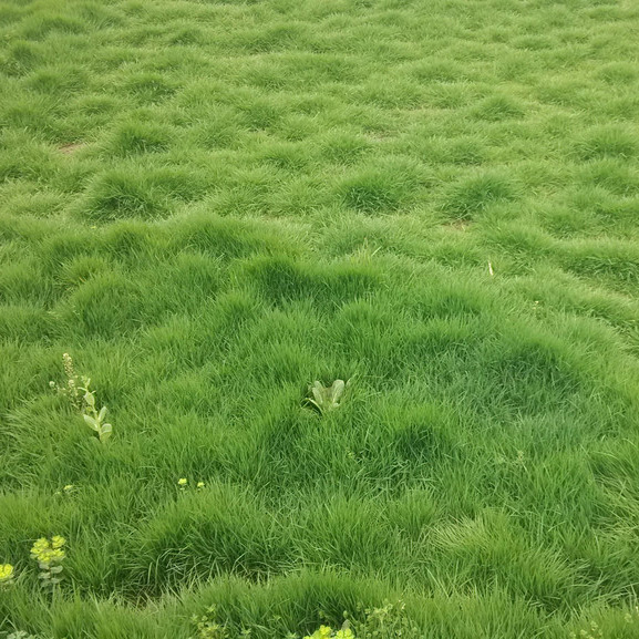 1530172614206595.jpg