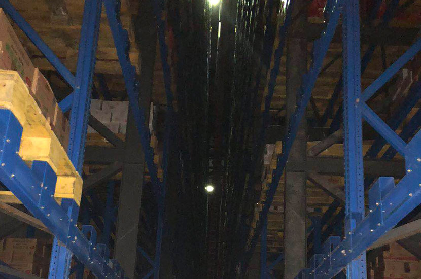 1535956736679816.jpg cp7.jpg