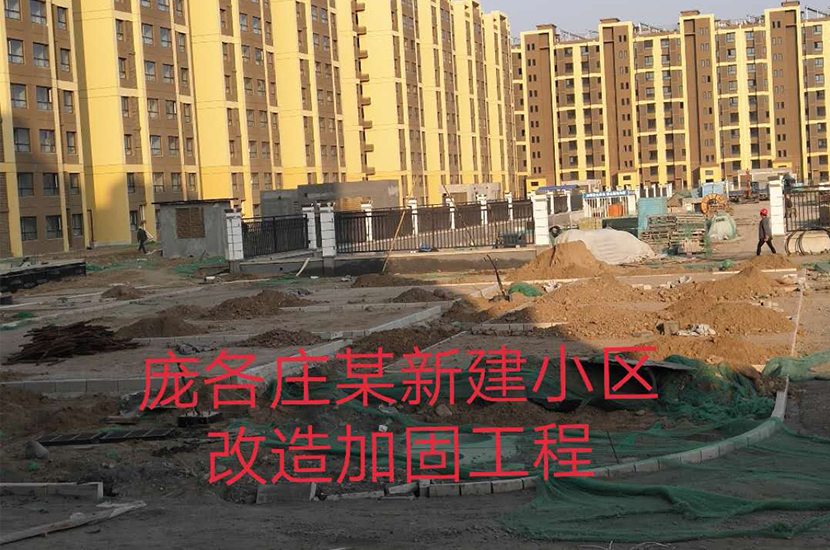 1539928064933359.jpg cp-02.jpg