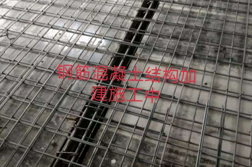 1539928069128294.jpg cp-03.jpg