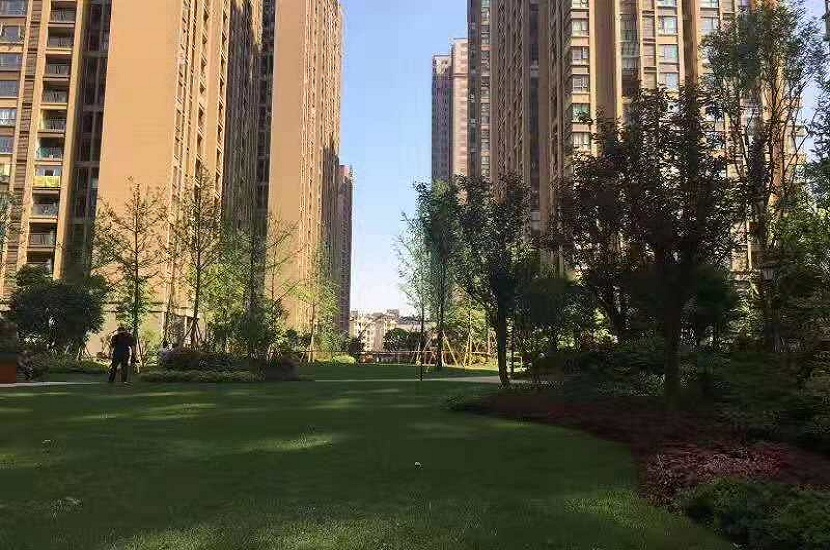 1542964605912359.jpg