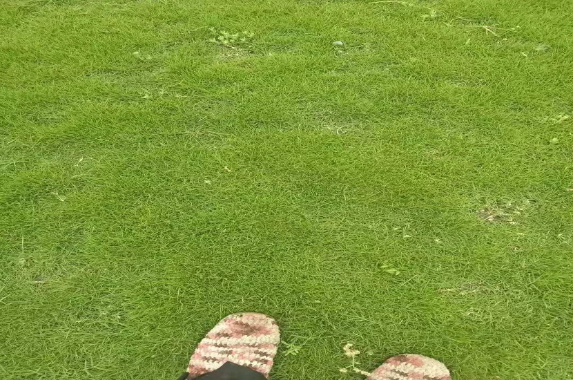 1542964605932498.jpg