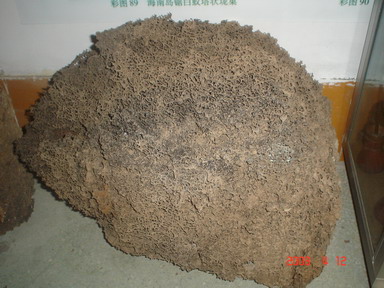 1553051431996573.jpg