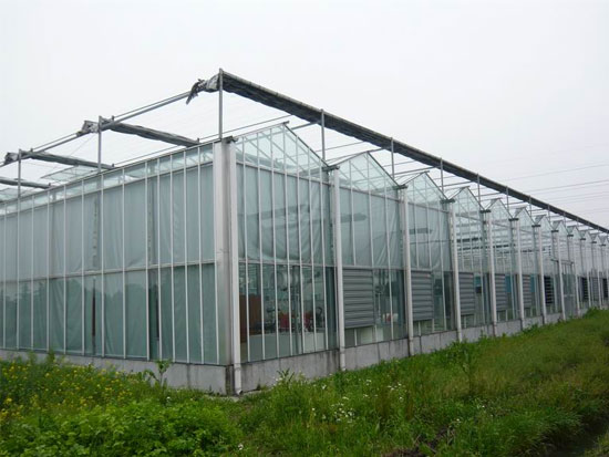 1556435224858182.jpg 日光温室2.jpg