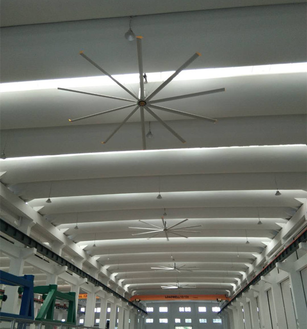 1563333669848543.jpg 微信图片_20190715164244_副本.jpg