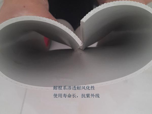 1578367742189382.jpg 5.jpg