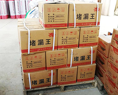 堵漏王.jpg