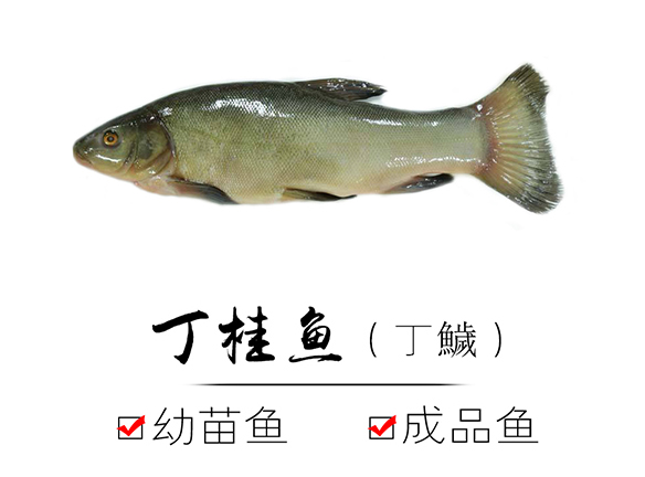 1590378142831761.jpg