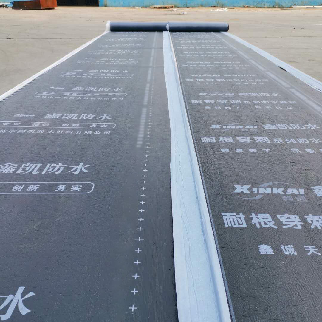 1598866428453124.jpg 耐根穿刺.jpg