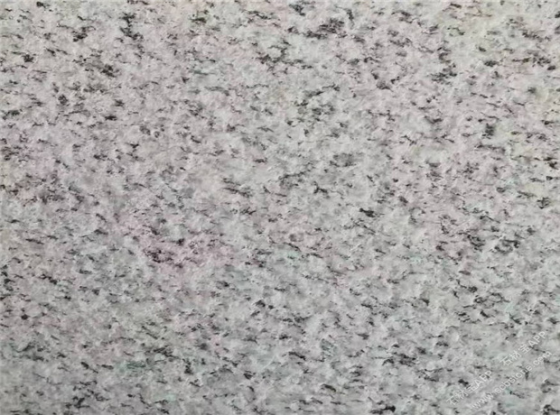 1617347950694188.jpg