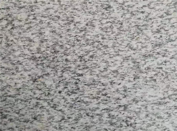 1617347951107063.jpg